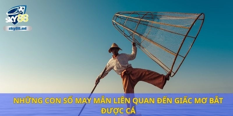 Những con số may mắn liên quan đến giấc mơ bắt được cá