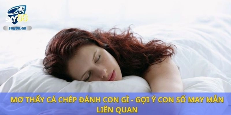 Mơ thấy cá chép đánh con gì - Gợi ý con số may mắn liên quan