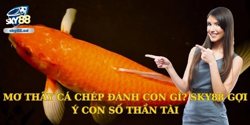 Mơ thấy cá chép đánh con gì? Sky88 gợi ý con số thần tài