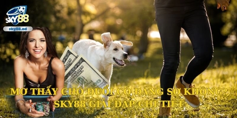 Mơ thấy chó đuổi có đáng sợ không? Sky88 giải đáp chi tiết