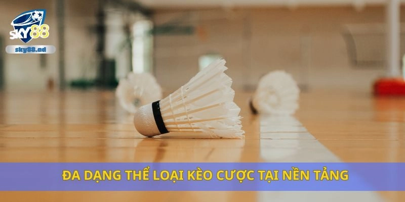 Đa dạng thể loại kèo cược tại nền tảng