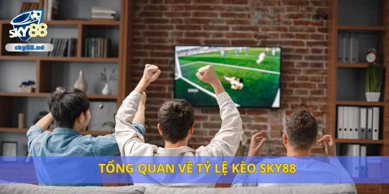 Tổng quan về tỷ lệ kèo Sky88