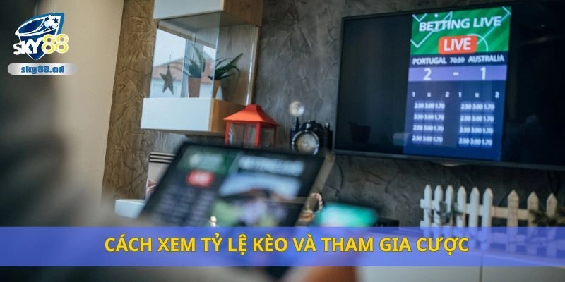 Cách xem tỷ lệ kèo và tham gia cược